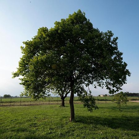 Agriturismo Cascina Graziosa Cameriano Luaran gambar